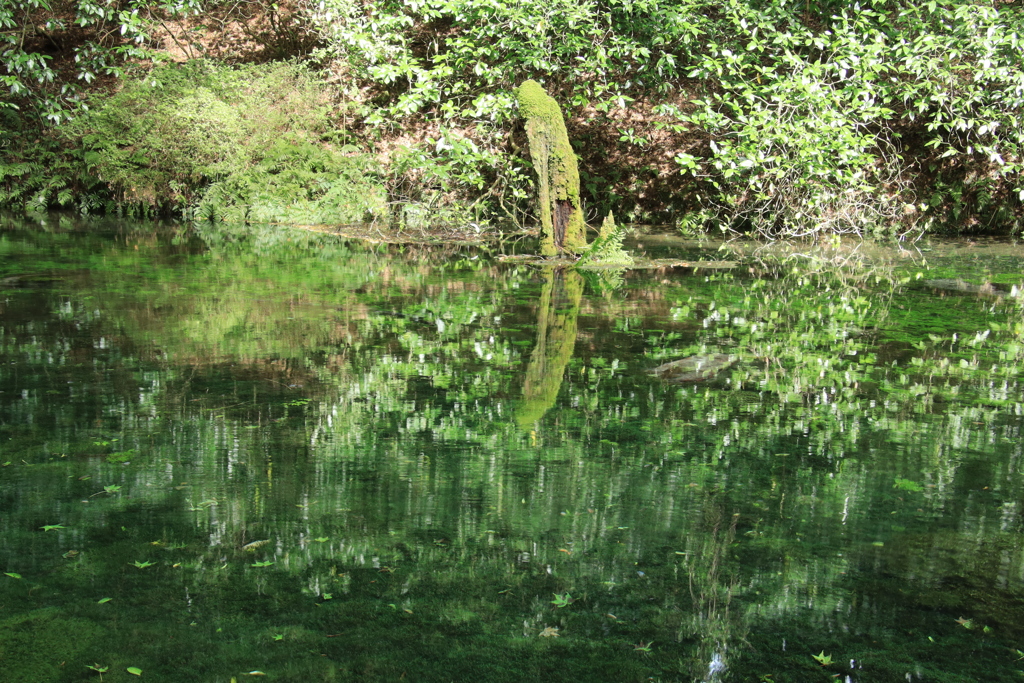 池山水源　１