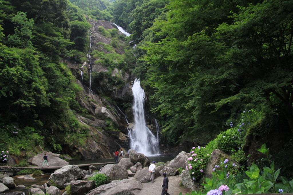 IMG_0612 見返りの滝