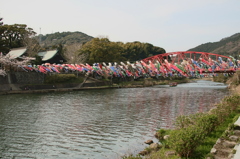 こいのぼり