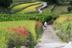 　鹿里の谷間