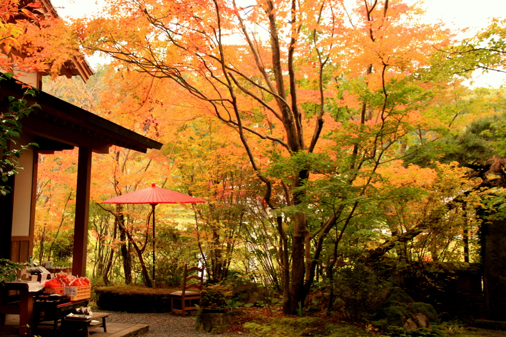 おもてなし玄関