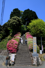 つつじともみじの大興善寺