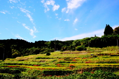 江里山棚田