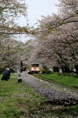 桜の駅　１