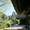 　風景・軒先