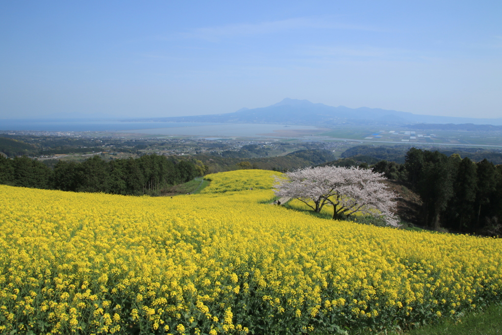  白木峰高原　１