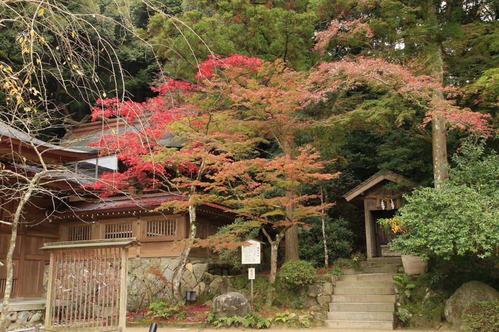 　竈門神社　４