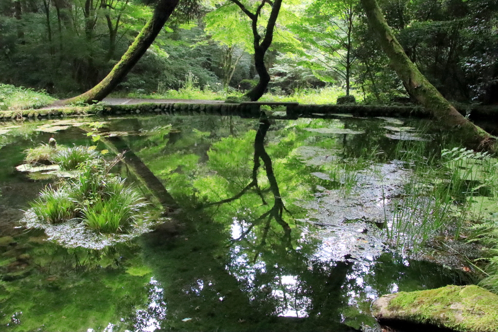 　山吹水源