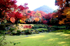 本坊庭園