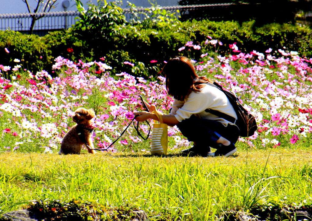 　インスタ映えのワンちゃん?