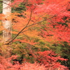 　八女津媛神社　３