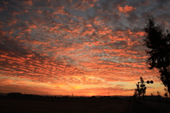 朝焼け  朝焼け