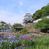 　大村公園花しょうぶまっり