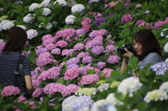  写ｶﾞｰﾙ　１