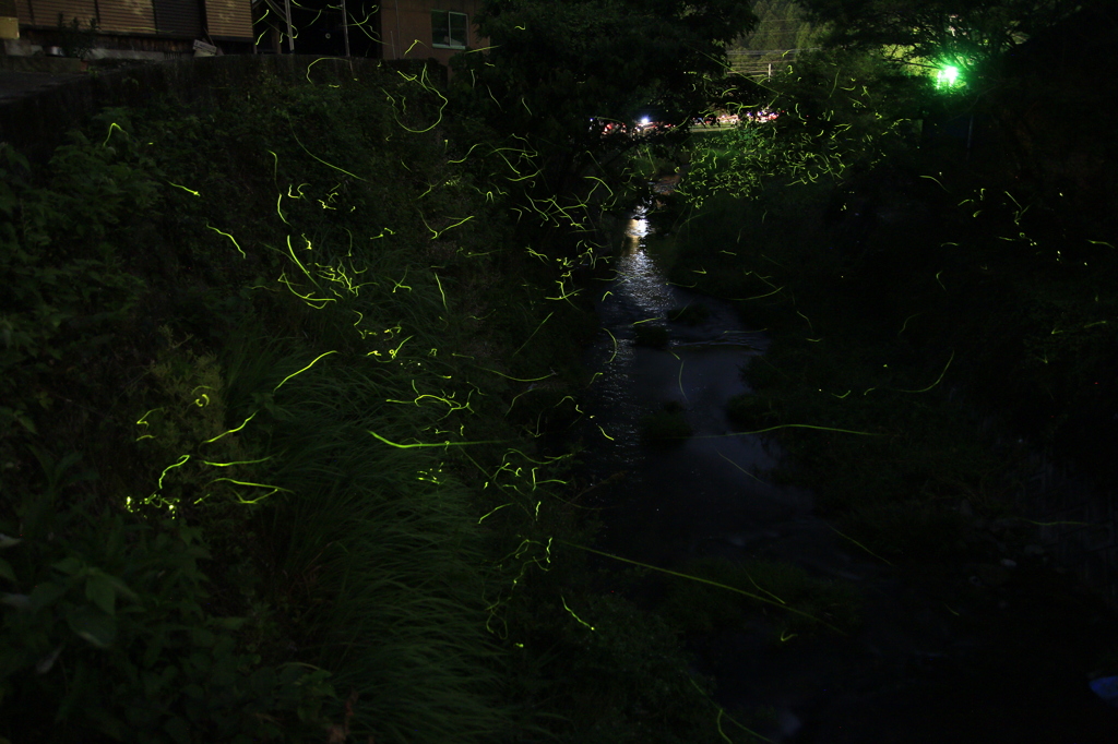 　田代川ﾎﾀﾙ　３