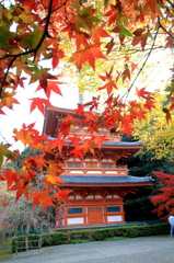 もみじと三重の塔
