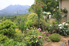 _MG_0059　Keonｶﾞｰﾃﾞﾝ