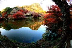 映り込み