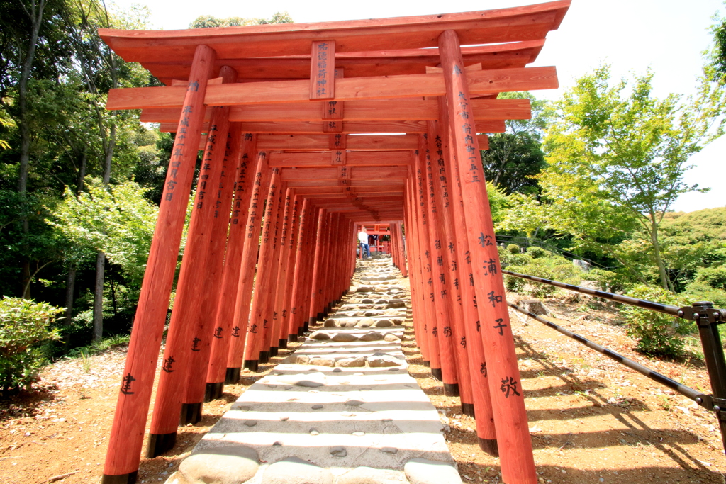  赤い鳥居