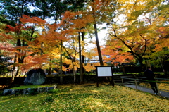 苔の庭