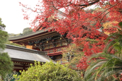 祐徳稲荷神社　４