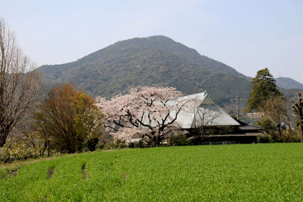 宝珠寺　１