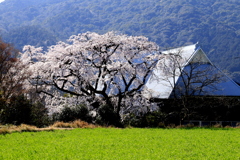  宝珠禅寺　１