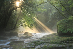  光芒　菊池渓谷