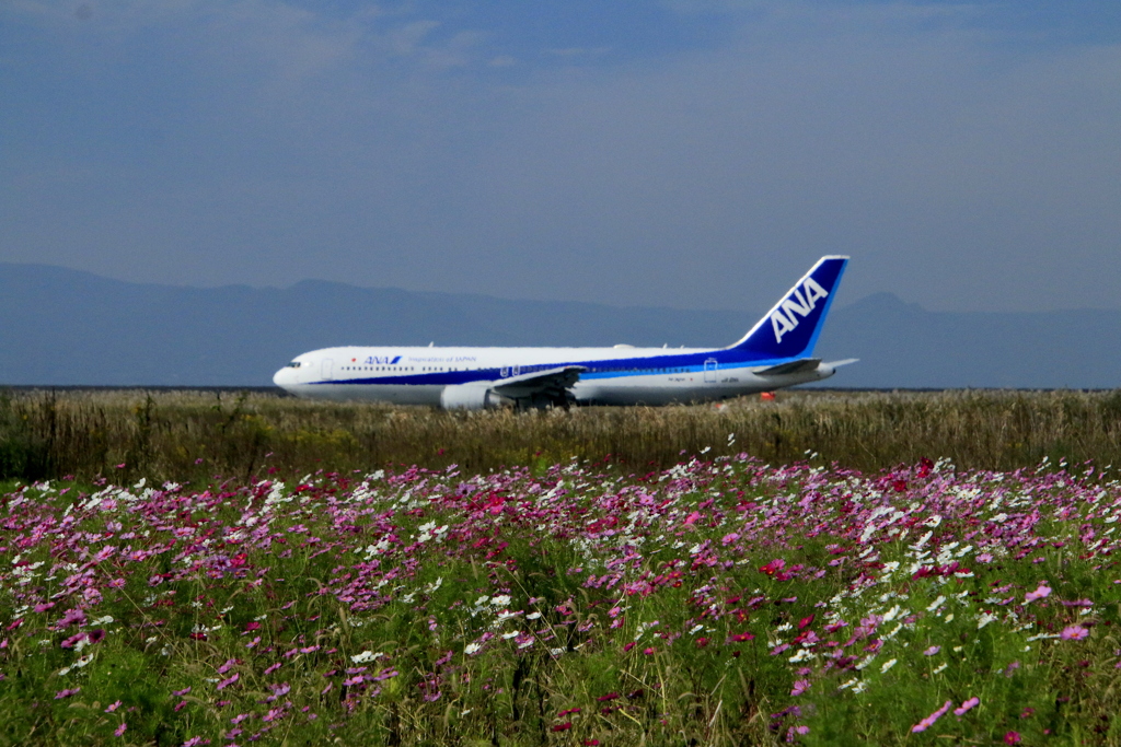 _佐賀空港