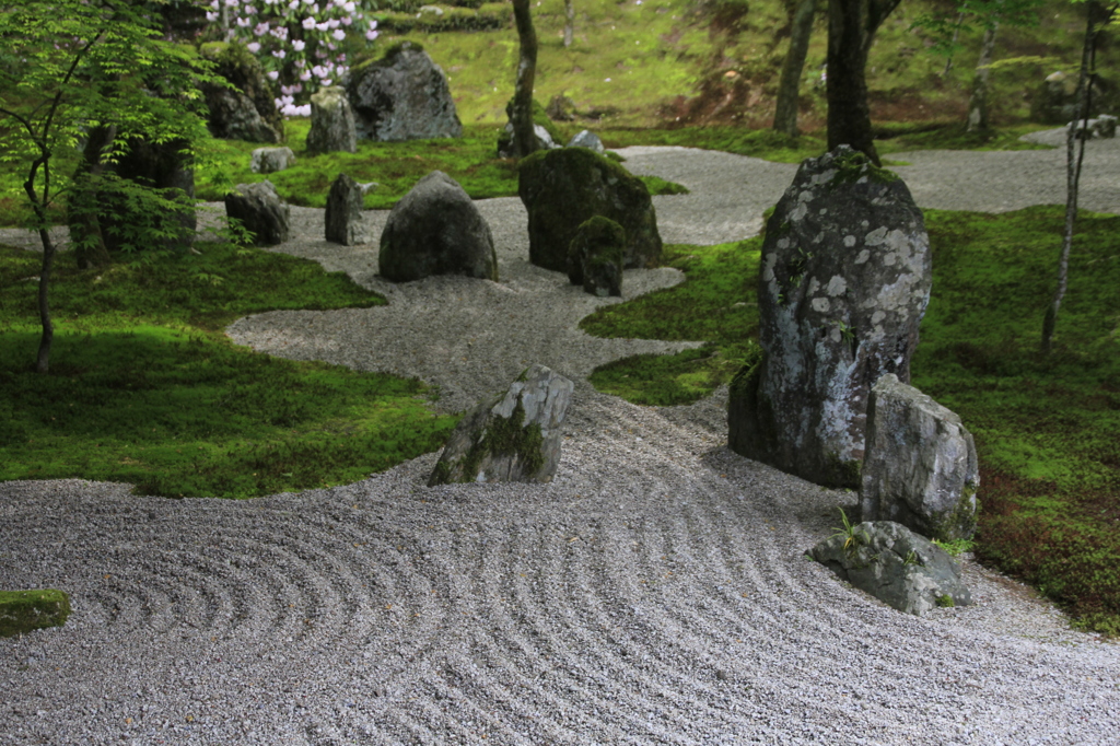 _MG_1155光明禅寺のお庭