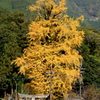 日向神社