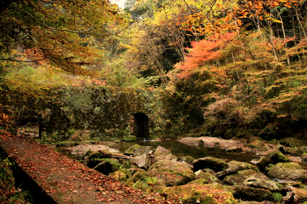 深耶馬渓　渓谷
