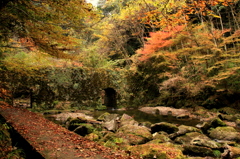 深耶馬渓　渓谷