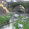 　高瀬眼鏡橋