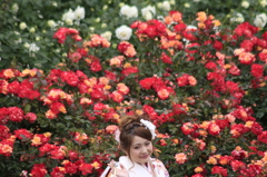 　ﾊﾞﾗ＆笑顔の彼女