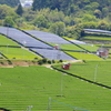 　茶つみ機　２
