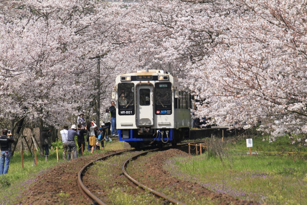  さくらの駅　浦の崎　１