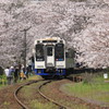  さくらの駅　浦の崎　１