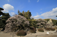 知覧の庭園　１