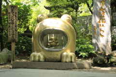 _MG_0029　ｶｴﾙの中にｶｴﾙ　1