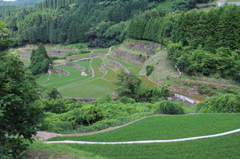 IMG_0738　蕨野棚田　５