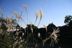 吉野ヶ里歴史公園　７