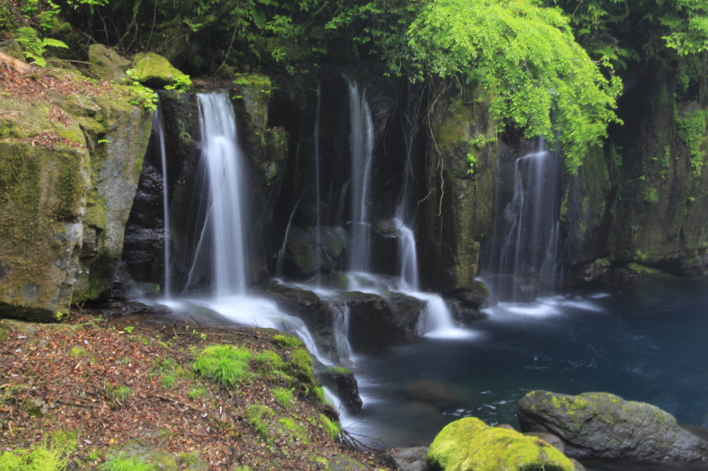 _MG_0141　菊池渓谷　Ⅱ