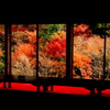  環境芸術の森