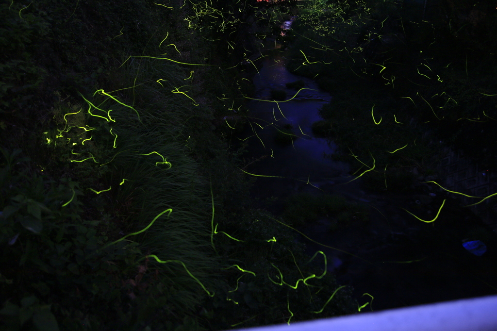 　田代川ﾎﾀﾙ　２