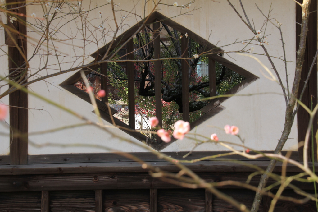 　高伝寺　２