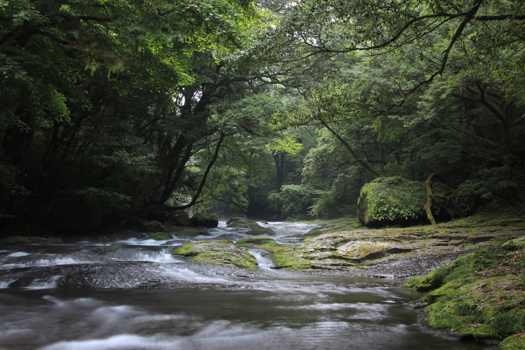  菊池渓谷