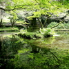  山吹水源　Ⅰ