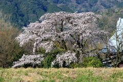  　宝珠寺　（ほうしょうじ）１