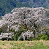  　宝珠寺　（ほうしょうじ）１